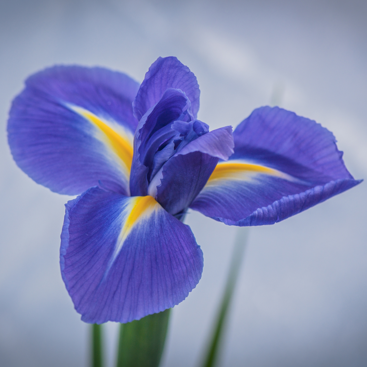 SPRAY TESSUTI GIAGGIOLO